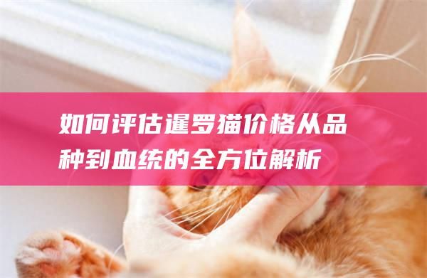 如何评估暹罗猫价格从品种到血统的全方位解析