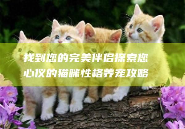 找到您的完美伴侣探索您心仪的猫咪性格养宠攻略