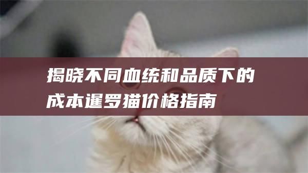 揭晓不同血统和品质下的成本暹罗猫价格指南