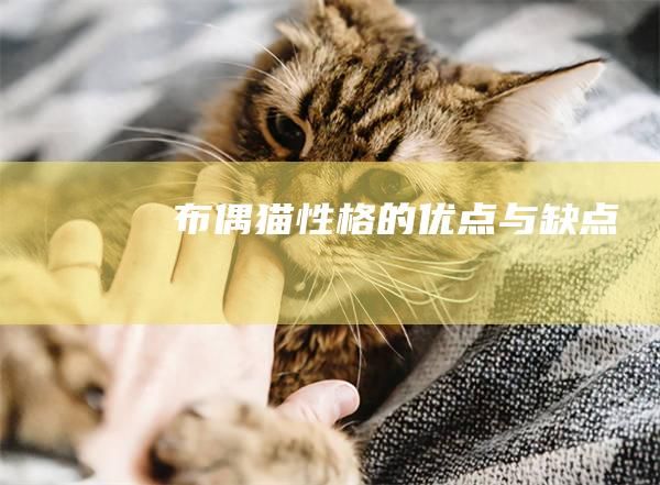 布偶猫性格的优点与缺点