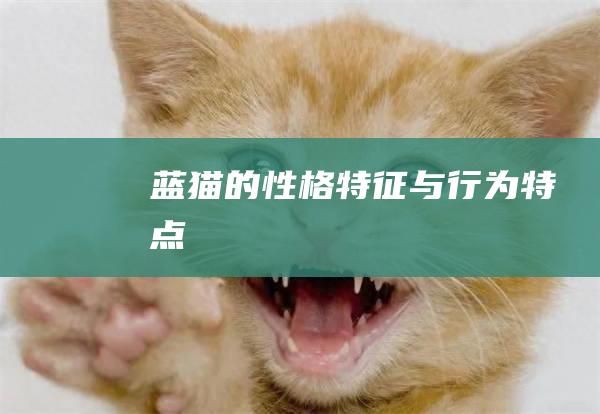 蓝猫的性格特征与行为特点