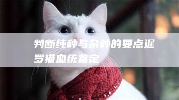 判断纯种与杂种的要点暹罗猫血统鉴定