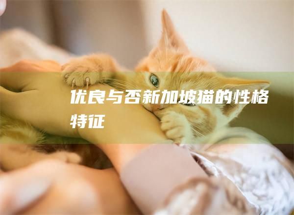 优良与否新加坡猫的性格特征
