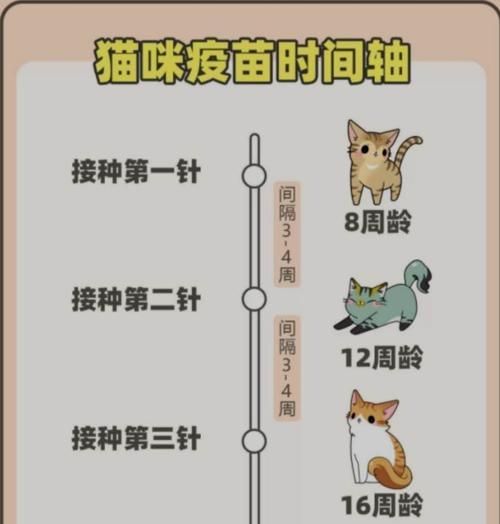 如何养护英种斑点兔——一份详细的饲养指南（宠物养护必备，打造健康快乐的兔子生活）