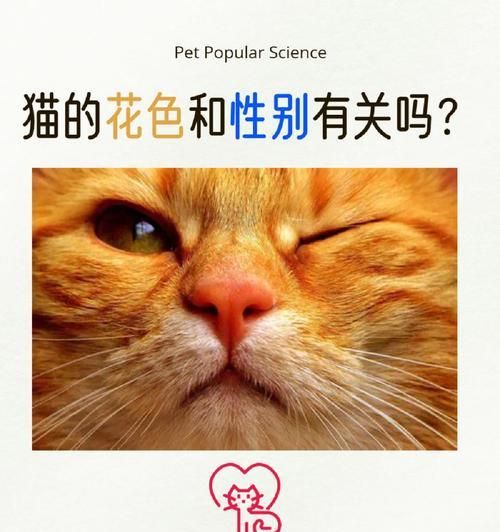 以苏牧的花色遗传为主题的宠物饲养指南（从苏牧的花色遗传谈宠物饲养之道）