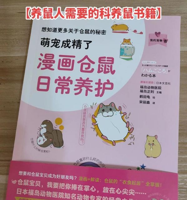 田鼷鼠饲养指南（从宠物到伙伴，让田鼷鼠成为你的好朋友）