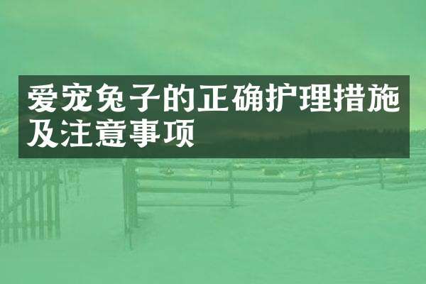 爱宠兔子的正确护理措施及注意事项