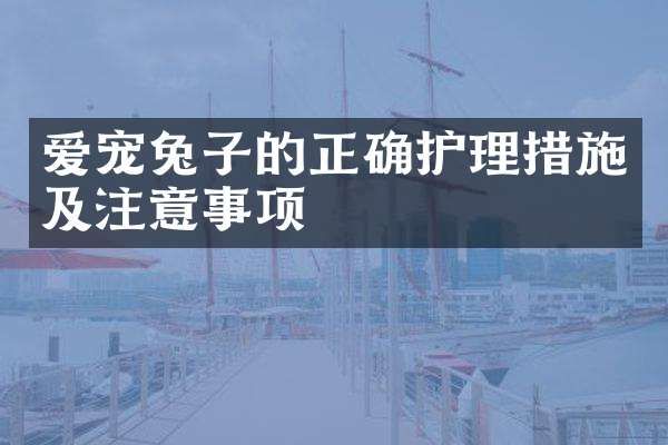 爱宠兔子的正确护理措施及注意事项