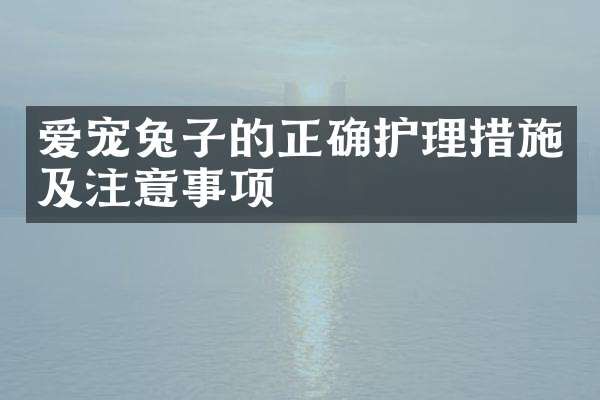 爱宠兔子的正确护理措施及注意事项