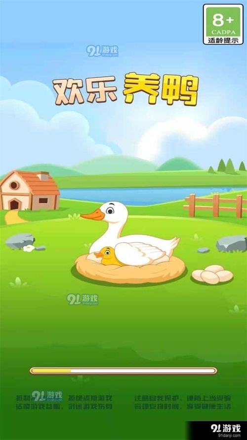 “养鸭小技巧,宠物鸭子的快乐生活指南”