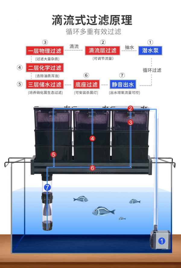 鱼缸过滤器分类及干湿分离过滤系统的优势解析