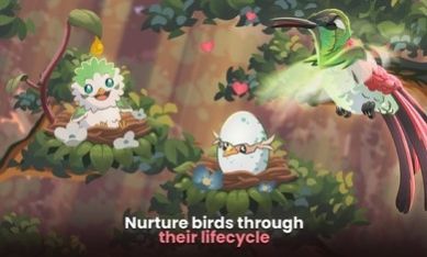 鸟类世界游戏Bird kind
