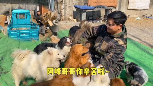 负债苦扛救助路，养活上百只毛孩子，宁愿卖废品也不放弃每一只