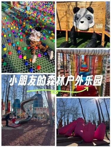 超喜欢这个森林里的儿童乐园❗️人超少❗️