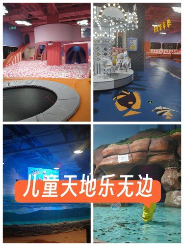 京海海洋萌宠乐园，快乐室内嗨一天