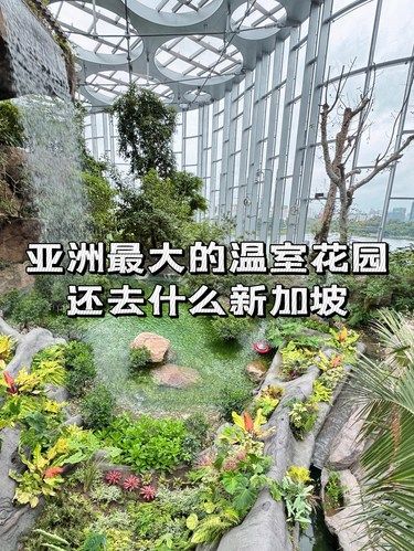 亚洲最大的温室花园，还去什么新加坡！