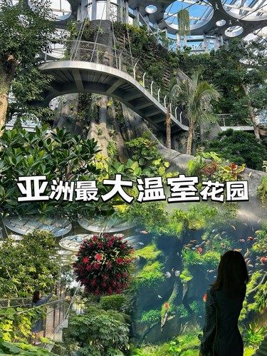 魔都植物园里有疯狂植物城