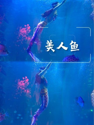 幻太奇好好玩