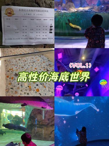 东营～高性价比海底世界