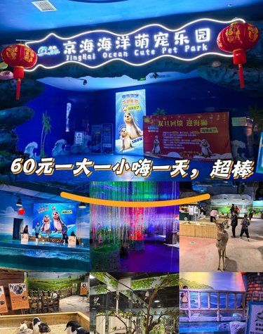 一站式海洋馆、动物园、游乐场全包含，可赶海