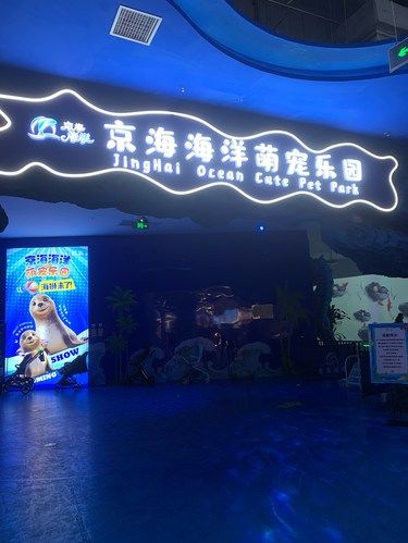 打卡京海海洋萌宠乐园，有惊喜也有小遗憾[种草]