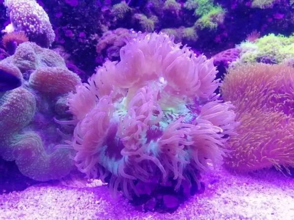 郑州海洋馆