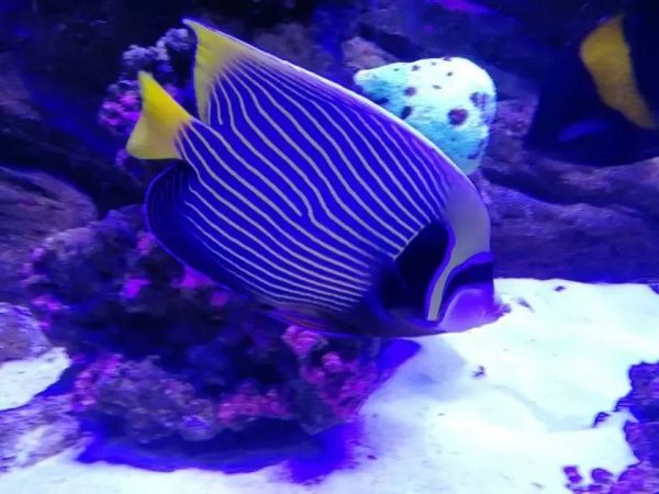 郑州海洋馆