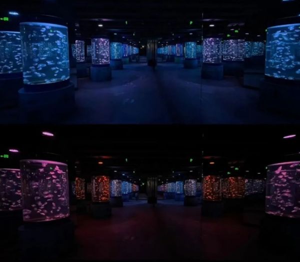 唐山海昌海洋公园