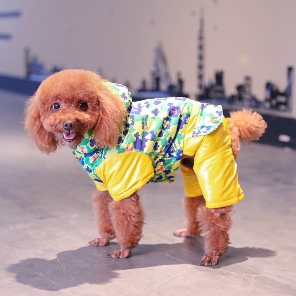 萌宠乐园衣服保底，让爱宠的穿搭不再烦恼