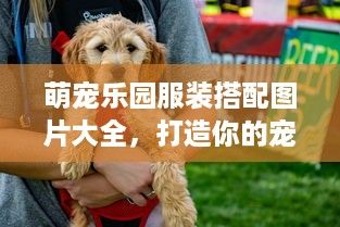萌宠乐园服装搭配图片大全，打造你的宠物时尚新风尚