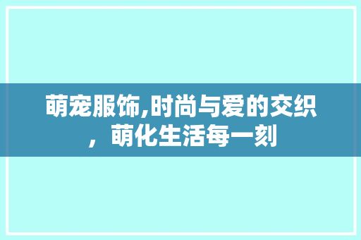 萌宠服饰,时尚与爱的交织，萌化生活每一刻