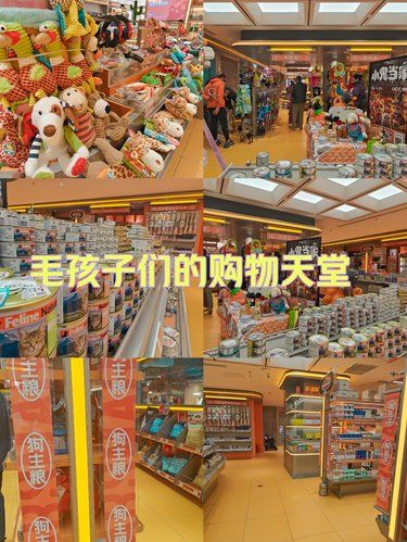 火星宠物超市大揭秘！你的萌宠新天堂