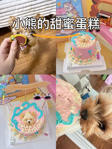 狗狗的快乐生日Time