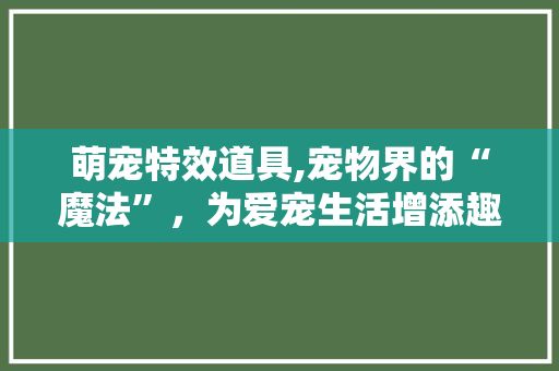 萌宠特效道具,宠物界的“魔法”，为爱宠生活增添趣味与色彩