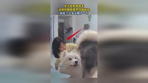 女子给狗狗梳毛，没想到狗狗居然对她放屁，网友：头发还飘了一下。