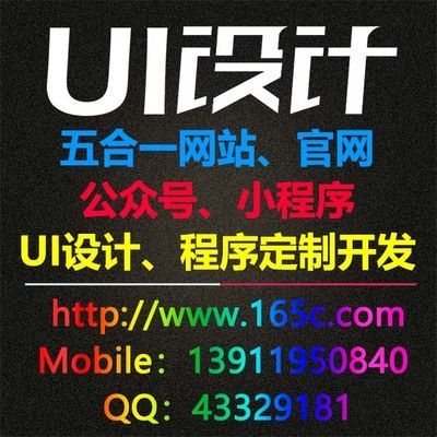 猪鼻龟好养活吗：猪鼻龟怎么养，猪鼻龟饲养环境布置技巧 猪鼻龟百科 第5张