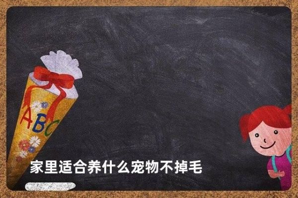 家里适合养什么宠物不掉毛