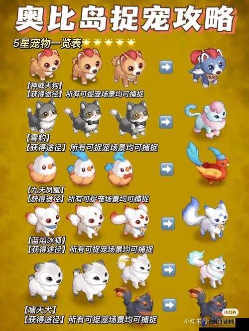 奥比岛手游宠物捕捉全攻略，奥比岛梦想国度宠物捕捉方法