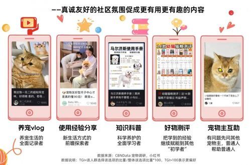 宠物博主收益揭秘，养宠攻略！