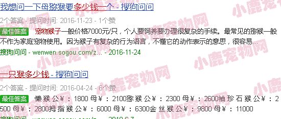 活体宠物猴多少钱一只