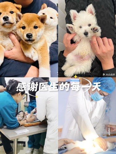 感谢医生的每一天