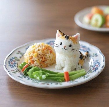 猫咪饭团