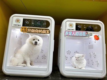 白面馒头翻新完成✅