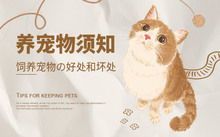 宠物知识宝典,养宠必备