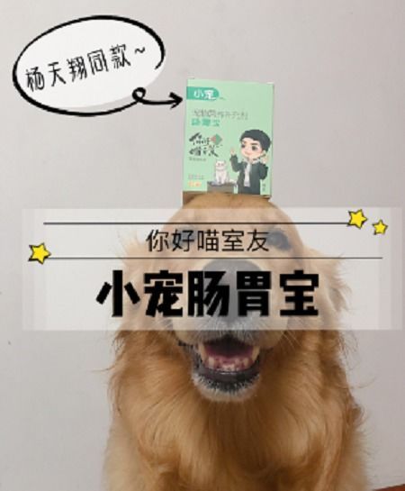 宠物知识宝库，养宠必备