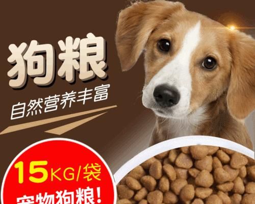 泰迪犬狗粮搭配什么好？如何选择合适的辅食？