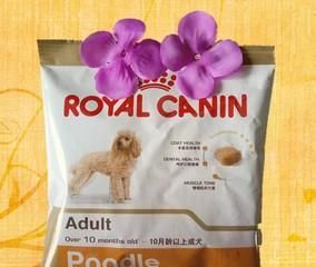 泰迪犬狗粮搭配什么好？如何选择合适的辅食？
