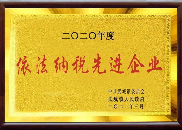 依法纳税先进企业