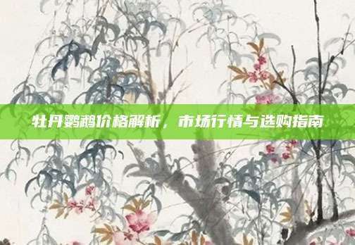 牡丹鹦鹉价格解析,市场行情与选购指南