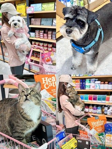‼️济宁养宠人一定要知道的宠物店‍⬛